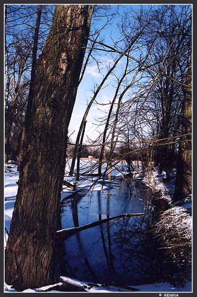 . . . . . . . . . . . . . . .