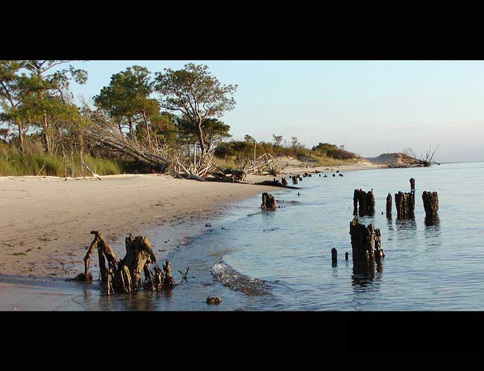 Eastern Shore, USA