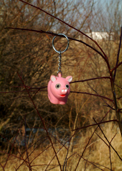 PIGGY NA STROMĚ