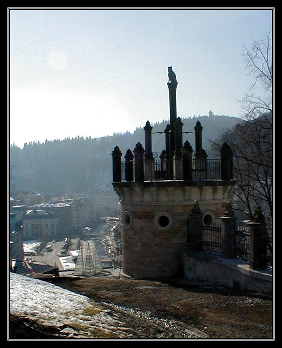 Kočka