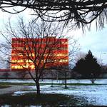 holozima v lednu v Hradci