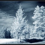 něco jako jen tak... IR