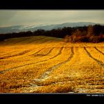 Jen ten dnešní den .....