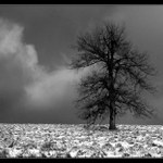 Před sněhovou vánicí...