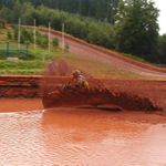 Endurista blátomilný...