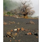 Pod sopkou - Tenerife