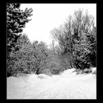 Dnešní mrazivé ráno...