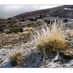 Námraza na lavovém poli