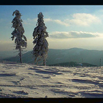 na pláni ve špindlu