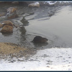 můj nový kamarád!