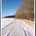 Zimní cesta z našeho města