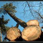 to,co jsme teď my, budete i vy