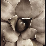 pro Jiriho Cvrka.....