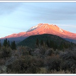 Mt. Shasta
