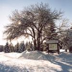 Zima v Jizerkách ...