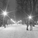 V parku
