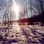 Kde bolo, tam bolo.....