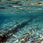 Podvodnická krajina