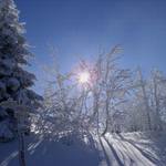 Zimní sluneční nálada