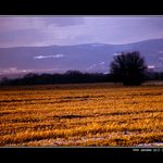 Zlaté Slunce - II. .. .. .. ..