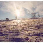 O chvilu zapadne.......