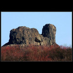 Kočka pro Doru a Mariána :)