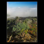 Tenerife - ostrov věčného jara