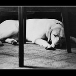 Můj nejlepší přítel :-)