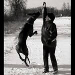 Dáš sem tu rukavici!