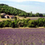 Provence 2002