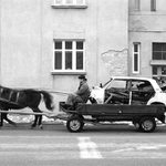 na ceste domov