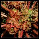 ..brzy bude jaro....