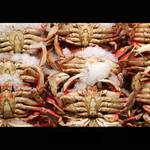 Seattle, Public Market, USA
