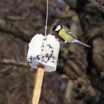 to je dobrůtka... :o)