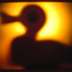 ...škaredé kačiatko...