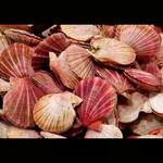 Public Market, Seattle, USA