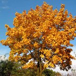 Podzim přichází...