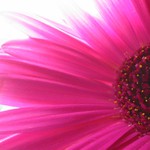 Pro změnu jiná barva ... :)