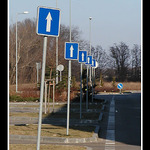 ...v zajati sipiek...