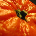 Mandarinka :o)