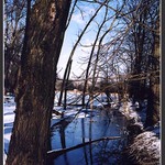 . . . . . . . . . . . . . . .