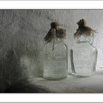 Zátiší ze sklepního okna