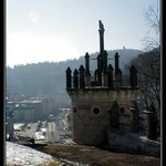 Kočka