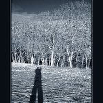 A U T O P O R T R E T