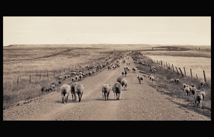 Státní silnice č. 330