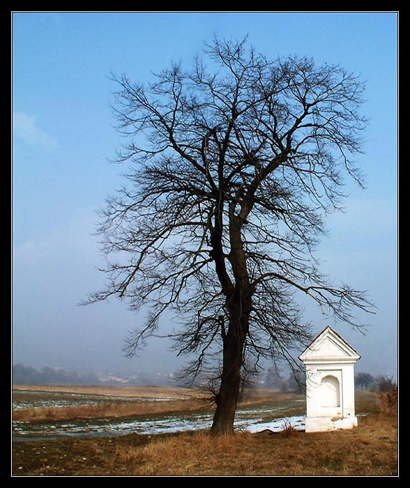 Chvilku svítilo slunce....