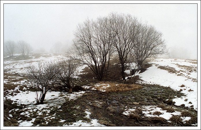 V mlze