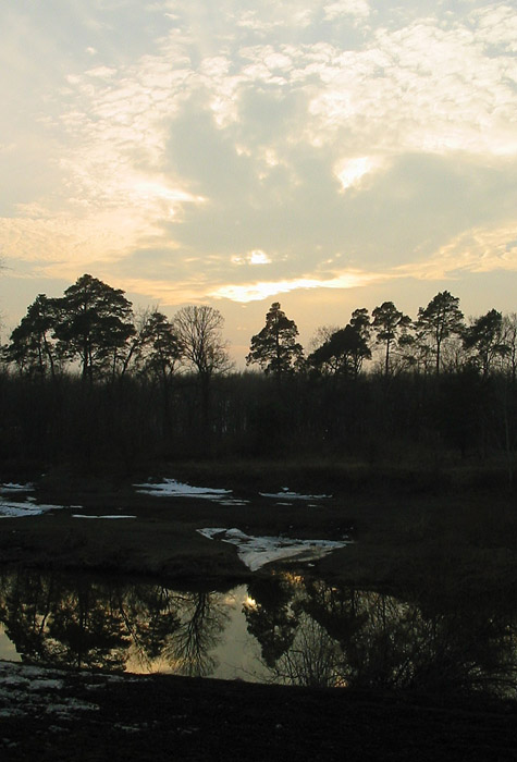večerní