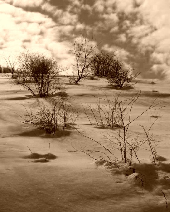 Na horizonte II.