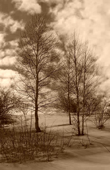 Na horizonte III.